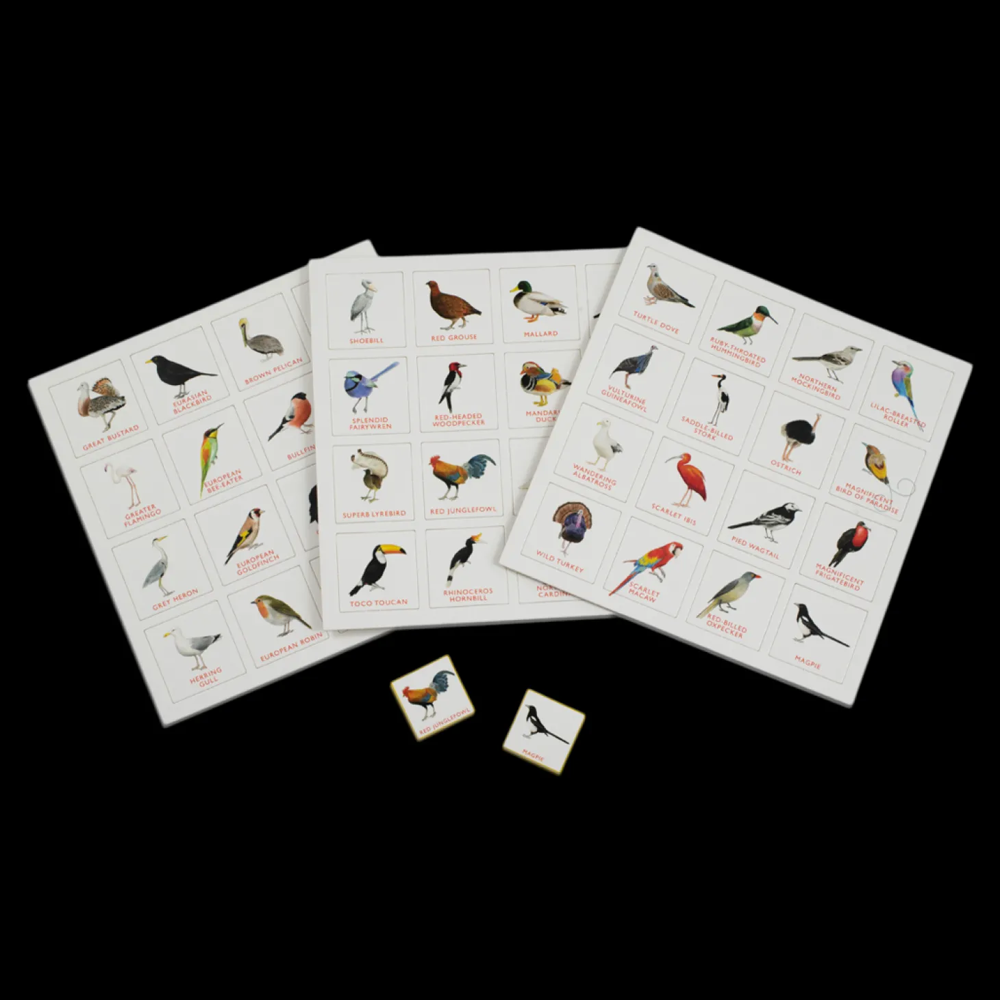 Bird Bingo