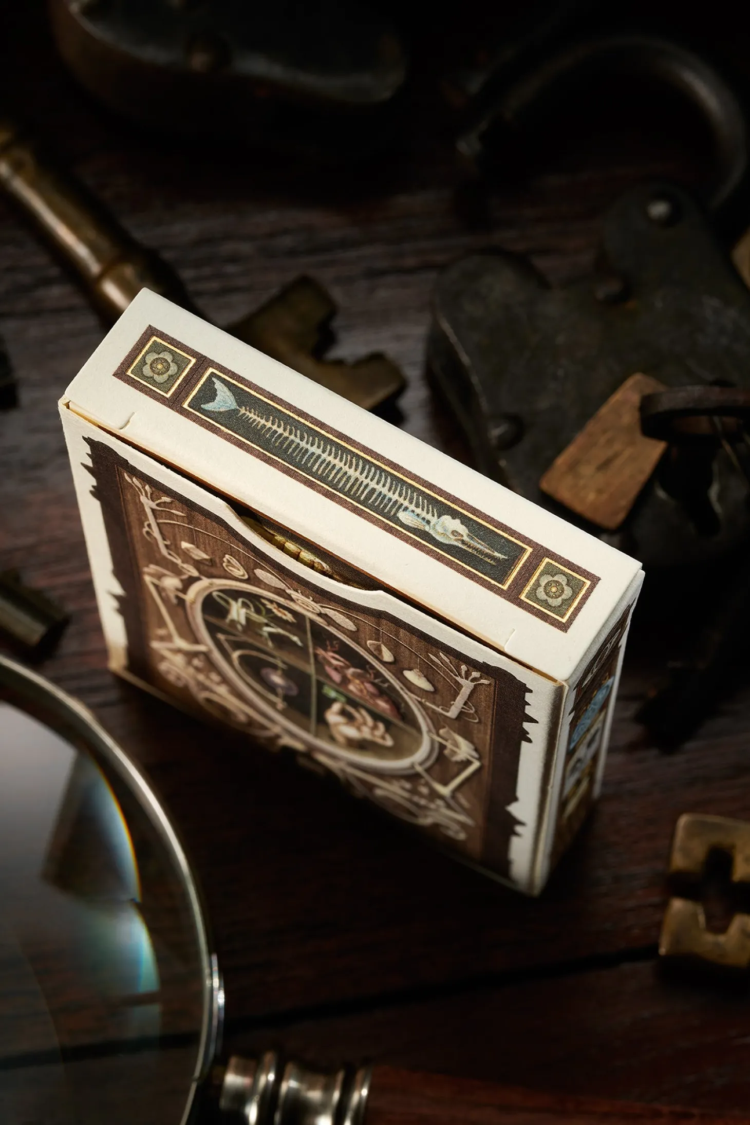 Cabinetarium Playing Cards