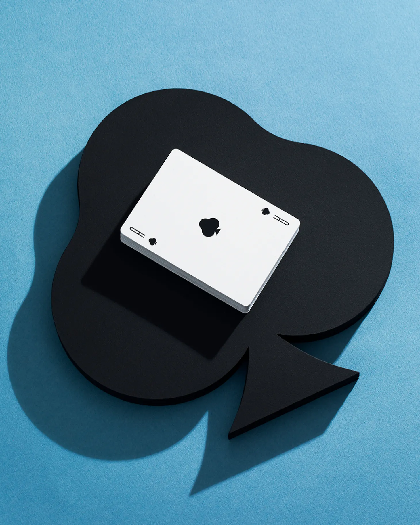 Curious Wonders Playing Cards