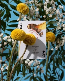 Eastern Forest Playing Cards