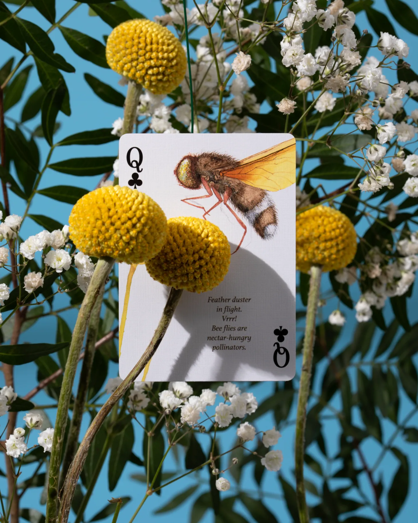 Eastern Forest Playing Cards