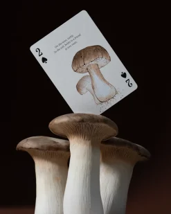 Eastern Forest Playing Cards