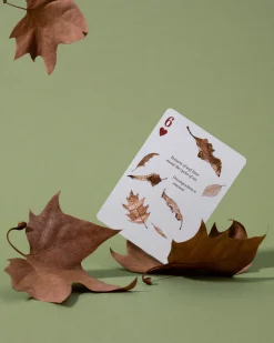 Eastern Forest Playing Cards