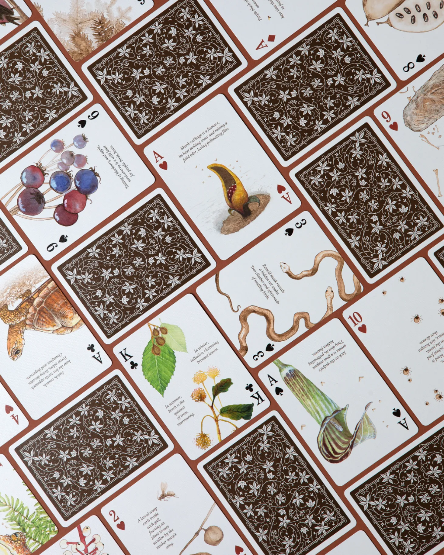 Eastern Forest Playing Cards