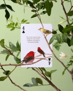 Eastern Forest Playing Cards