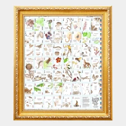 Eastern Forest Uncut Sheet