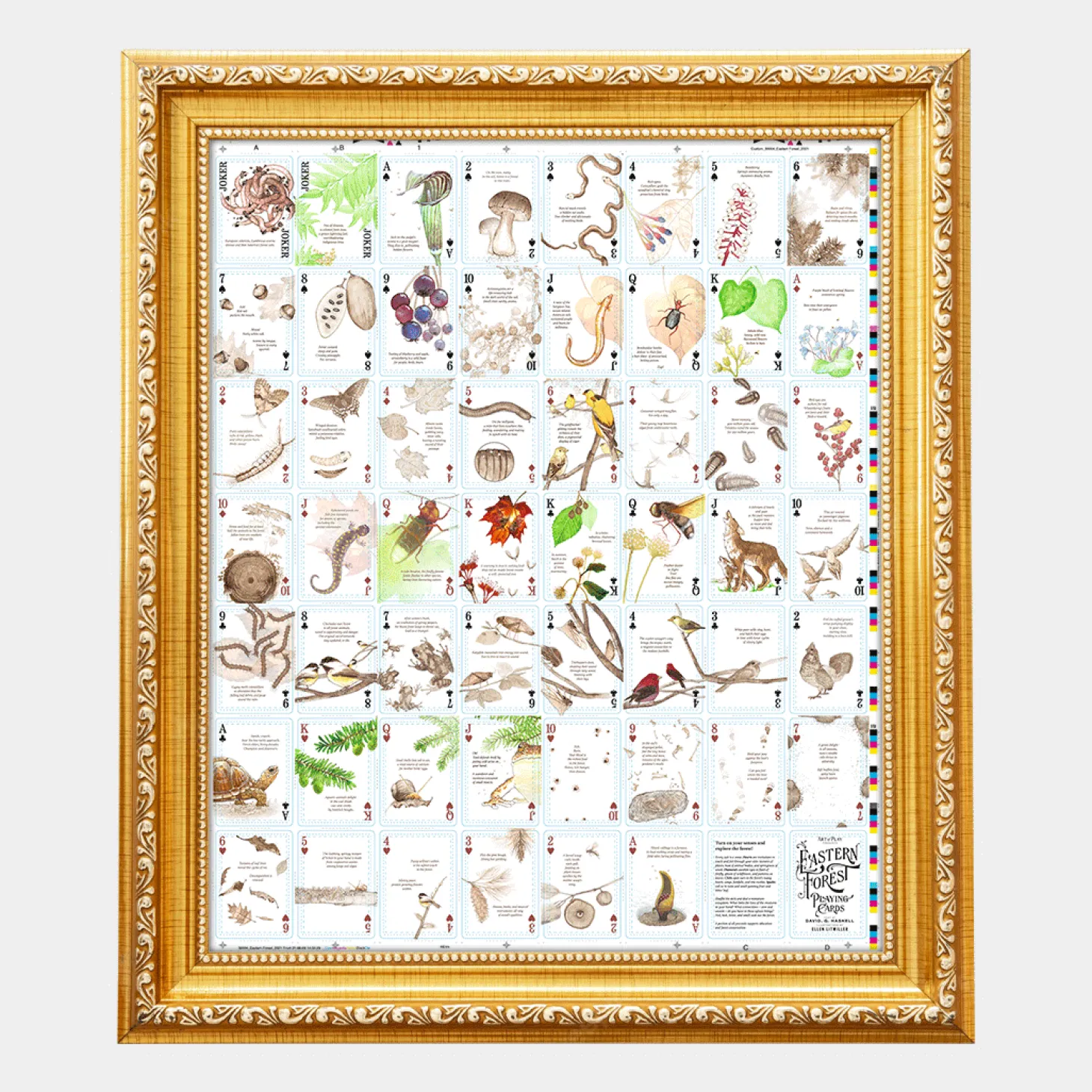 Eastern Forest Uncut Sheet