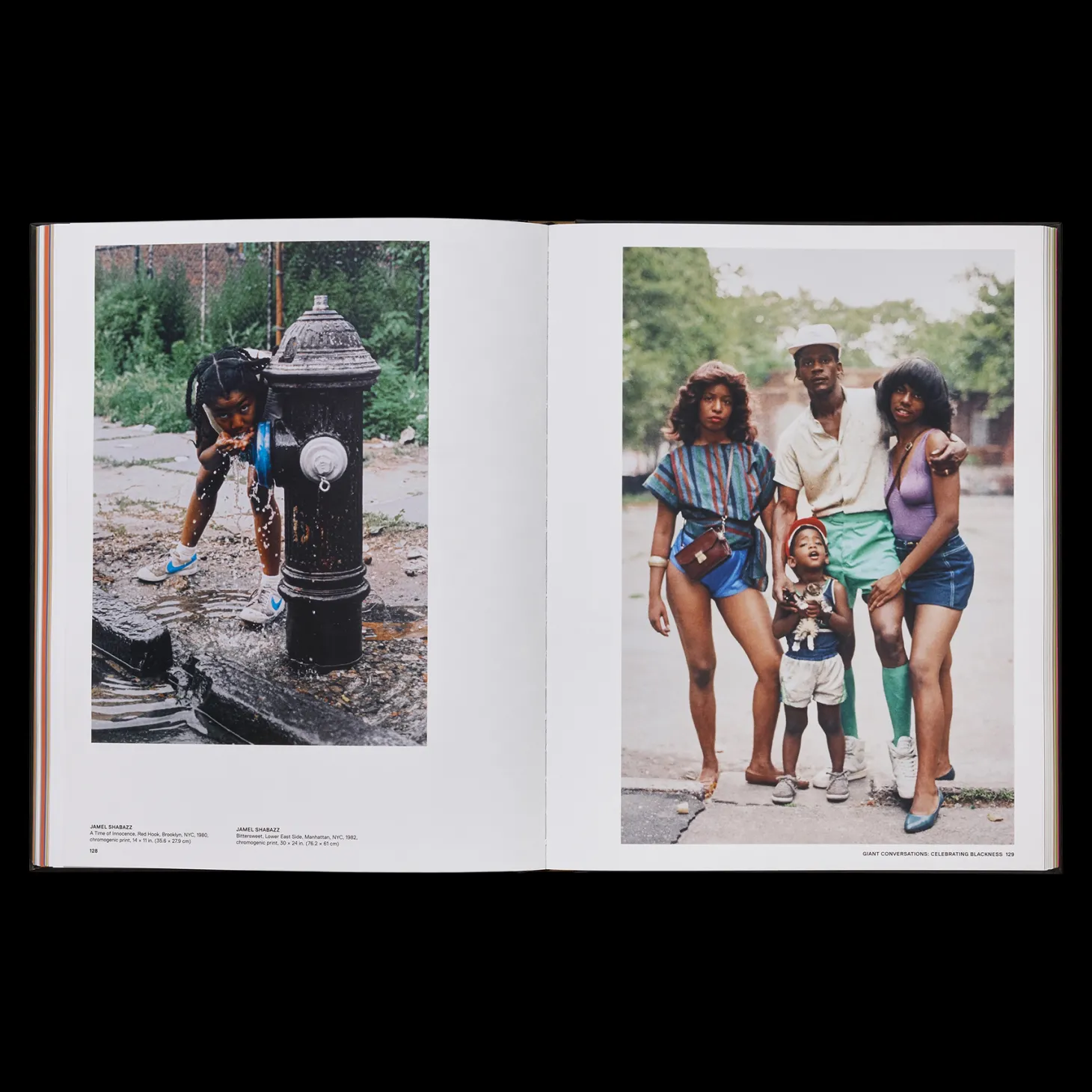 Giants: Art from the Dean Collection of Swizz Beatz and Alicia Keys
