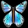 Magic Flying Butterfly