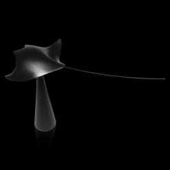 Manta Ray
