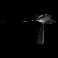 Manta Ray