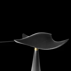 Manta Ray