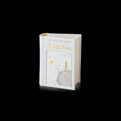 Miniature Books