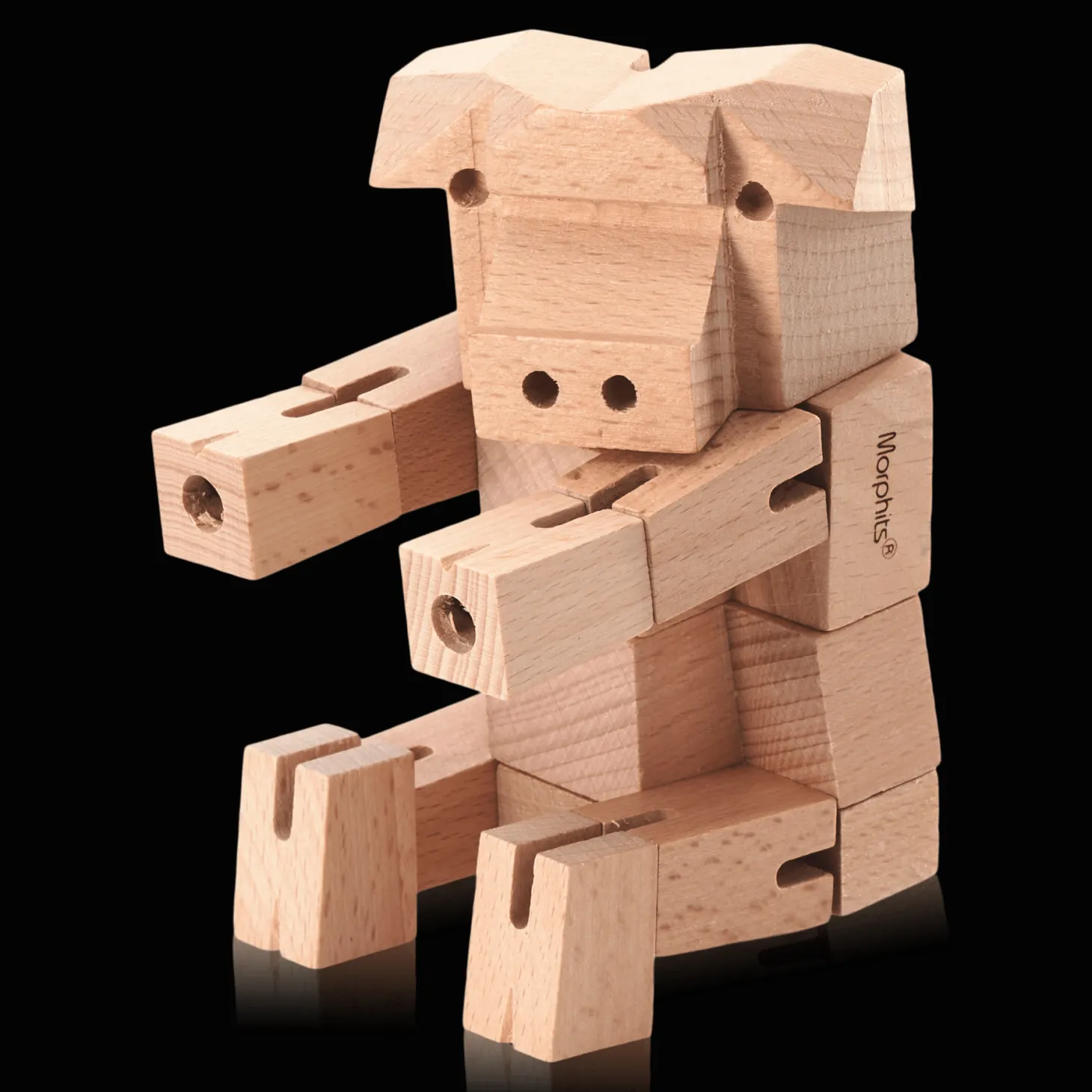 Morphits Pig