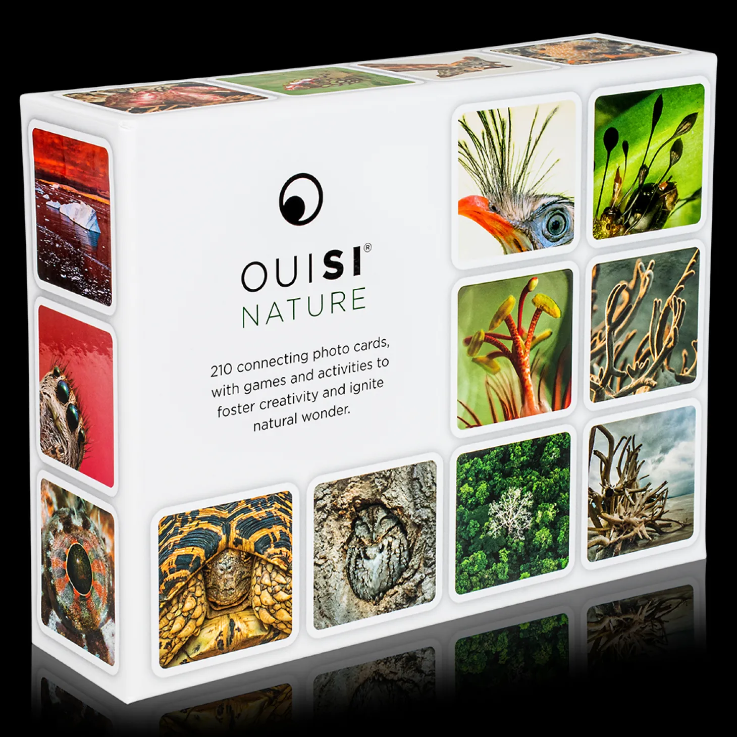OuiSi Nature: Games of Visual Connection