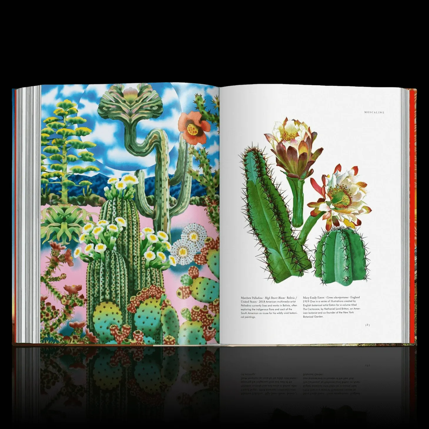 Plant Magick. The Library of Esoterica