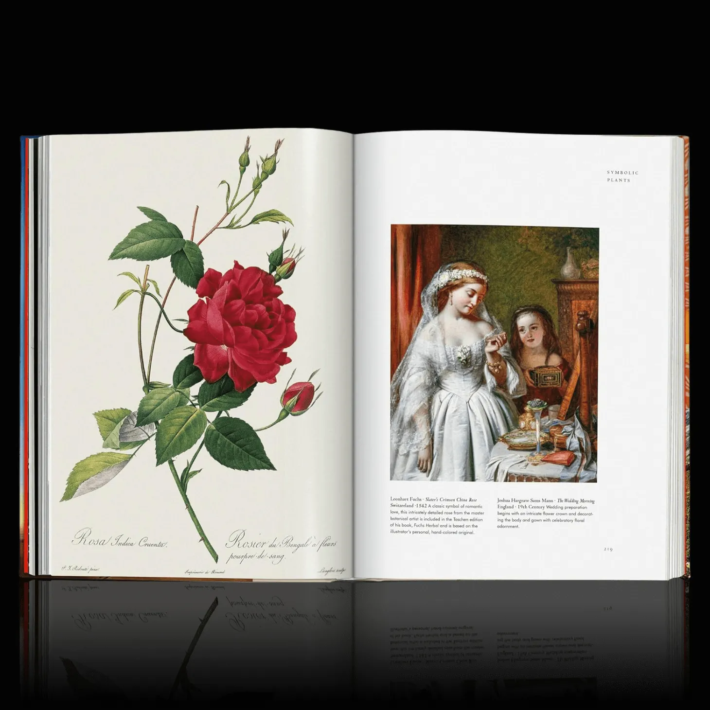 Plant Magick. The Library of Esoterica