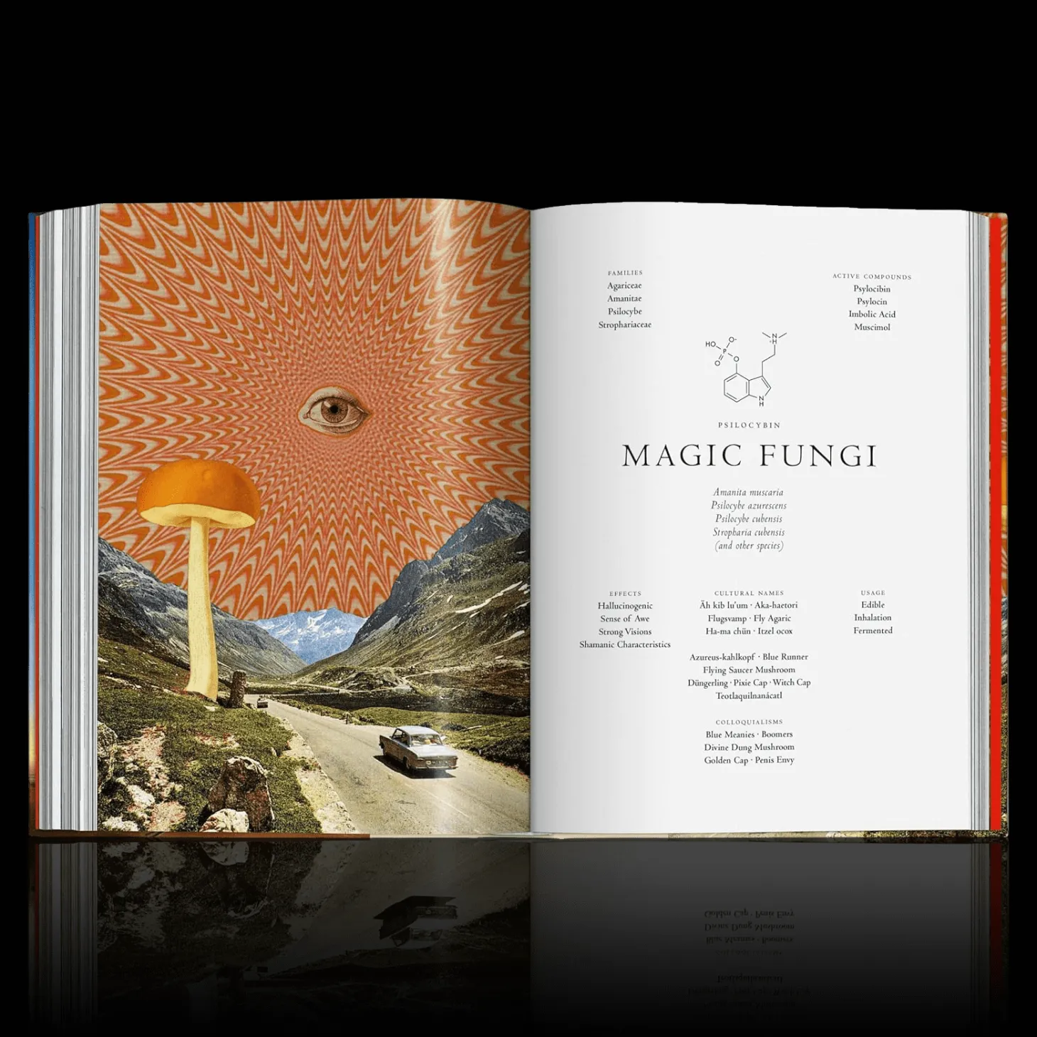 Plant Magick. The Library of Esoterica