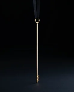 Skeleton Key Puzzle