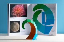 Tangram, Vol. 2