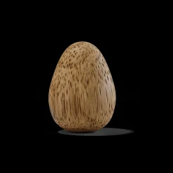 Thinking Egg