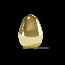 Thinking Egg