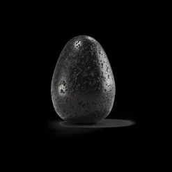 Thinking Egg